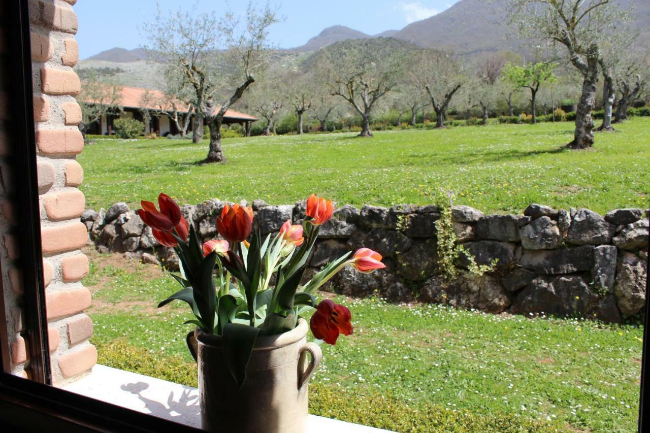 Agriturismo Il Castagneto Padula Buitenkant foto